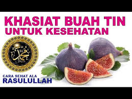 Dilansir dari foxnews, jumat (22/7/2016), berikut rekomendasi cara. Khasiat Buah Tin Ficus Carica Cara Sehat Ala Rasulullah Rezabasalamah Khalifah Al Jazeera Tv Youtube