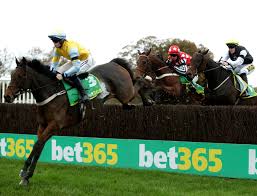 All Races at Sunland Park