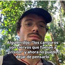 booklovers 🐦‍🔥