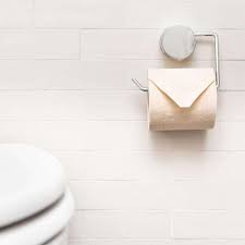 Mit unserer anleitung basteln sie sie auch schnell mit kindern. Bambus Toilettenpapier 3 Lagig Super Weich Und Umweltfreundlich Pandoo