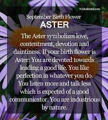 Pin By Stacey Mccurdy On Birth Facts Birth Flowers September Birth Flower Birth Month Flowers