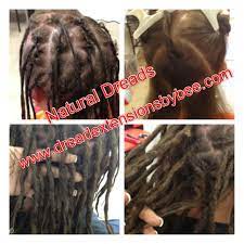 Starting Dreads On Caucasian Hair Naturally Bee Starts It Off With A Little Back Combing A Little Interlocking Than Starting Dreads Dreads Diy Natural Dreads