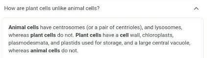 Animal cells are generally small in size. Unlike Animal Cell Plant Cell Have Dash And Dash Brainly In