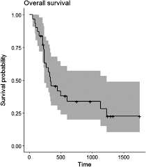 If you choose chemotherapy, you must take your dog to an oncologist for treatment. Lopp Chemotherapy As A First Line Treatment For Dogs With T Cell Lymphoma Brown 2018 Veterinary And Comparative Oncology Wiley Online Library