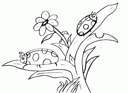 August 18, 2018 at 3:56 pm. August Coloring Sheets Coloring Home