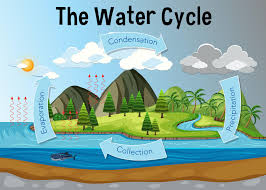 Make A Water Cycle Model Weather Science For Kids In 2020 Water Cycle Model Water Cycle Diagram Water Cycle