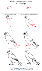 How To Draw Falcon Google Search Easy Drawings Bird Drawings Falcon Drawing
