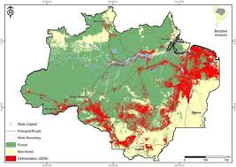 All locations and spots in iranduba, amazonas, brazil marked by people from around the world. Amazon Rainforest Map Deforestation