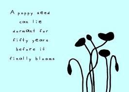 Doodle By Andre Everything In Its Time Old Quotes Clever Quotes Wonderful Words