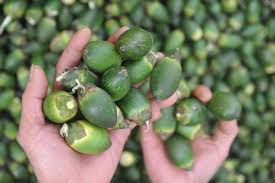 Hunan bans advertising of betel nuts - Chinadaily.com.cn