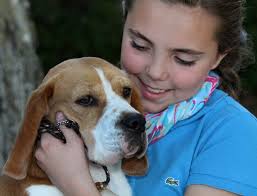 DeLand 10-year-old, beagle headed to Westminster