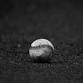 Minnesota Golden Gophers at Illinois Fighting Illini Baseball