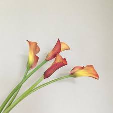 How to make a cascading wedding bouquet. Orange Mini Calla Lily Flower Bulk Fresh Diy Wedding Flowers Flower Moxie