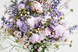 Share on facebook share on twitter. Blume Des Monats Juli Scabiose Juli Blumen Blumenstrauss Hochzeit Blumen