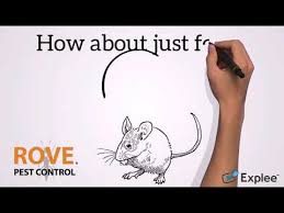 I already knew that we had mice in t. How Long Can A Mouse Live Without Food Beezzly