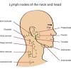 Read on to learn about cancer and how it's treated. 1