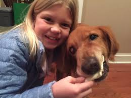 Rook is a good friend to my mother