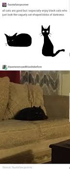 31 Tumblr Posts You Ll Love If You Re A Proud Unabashed Cat Person Cute Animals Funny Animals Cat Memes