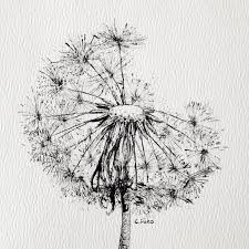 Pin On Dandelions