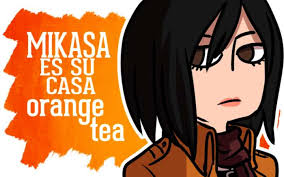 Mikasa Es Su Casa