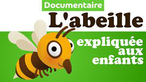 Retrouvez toutes les informations utiles sur cette école maternelle. Pourquoi L Abeille Fait Du Miel Documentaire Animalier Pour Enfant De Maternelle Youtube