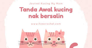 Tapi hanya 15% ibu bersalin mengalami tanda ini. Tanda Tanda Awal Kucing Nak Bersalin
