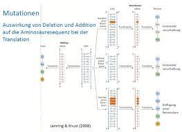 I can provide a perfect pdf file with answer key to simplify your life right away. What Is A Mutation Quizlet