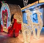 LED Santa Claus with Deer Sleigh Light Cinderella Horse Carriage Motif Rope  Light for Holiday Light Show