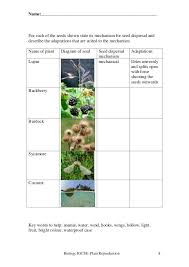 Plant Reproduction Worksheet Biology Plants Worksheets Cells Worksheet