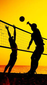 We did not find results for: Volleyball Wallpaper For Android Apk Download