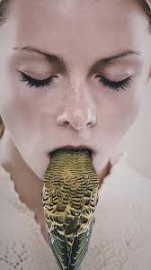 Mudgee Day 2. We went to a very beautiful exhibition at the  @mudgeeartsprecinct, stunning work