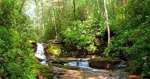 Tallulah River Campground In Chattahoochee Oconee Georgia Be Sure To Catch Your Breath Before Ascending To T In 2020 Private Campgrounds Best Campgrounds Campground