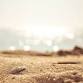 Yoga unfolded ° Retreat in magical Mozambique w event image