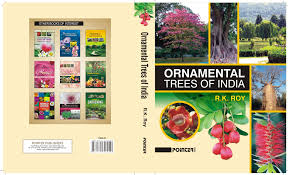Ornamental flowering trees in india. Buy Ornamental Trees Of India Book Online At Low Prices In India Ornamental Trees Of India Reviews Ratings Amazon In
