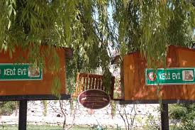 Mugla Belediyesi Kedi Evleri Devlet Kurumlari Ve Haytap Haytap In Arkadaslari Haytap Hayvan Haklari Federasyonu