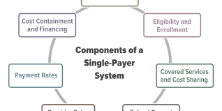 Not only does this include coverage for medical but also reproductive and mental health. Key Design Components And Considerations For Establishing A Single Payer Health Care System Congressional Budget Office