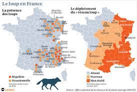 Le loup tué en 1987 dans le mercantour est officiellement. Le Loup A La Conquete De Toute La France