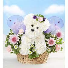 506 e longview dr, appleton, wi 54911 map · phone number · visit website. Flowers Gifts Flowerama Appleton Local Appleton Wi Delivery