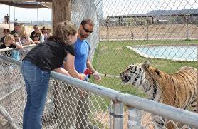 Out Of Africa Wildlife Park Camp Verde Az Travel As Much Camp Verde Wildlife Park Africa Wildlife