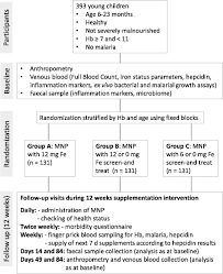 Main Study Flow Chart Legend Hb Haemoglobin Fe Iron