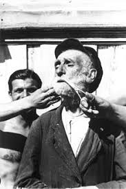 Der beginn des holocaust beachten sie dabei bitte unsere regeln für leserkommentare. Holocaust Wikipedia