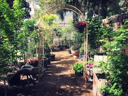 We carry the largest selection of trees, shrubs, and perennials in the intermountain area. Noles Nursery