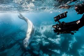 So many titles, so much to experience. Around The World On Netflix The Best Travel Shows To Watch Bucket Lists Conde Nast Traveller Middle East