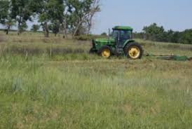 More images for how to mow tall grass » Mowing Tallgrass Ontario