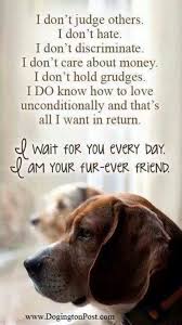 Theperfectworldwelcome Dogs Dog Lovers Dog Quotes
