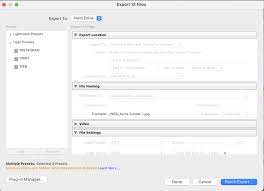 How To Rename Files In Lightroom For Better Image Discovery & Organization  • Phototraces