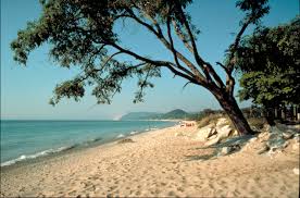 Pin By Yoddha Victorious On Seaside Michigan Beaches Lake Michigan Beaches Lake Beach