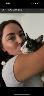 Missing cat in Alexandra, New Zealand