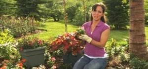 It is a job which. How To Read A Lowe S Plant Care Tag Gardening Wonderhowto