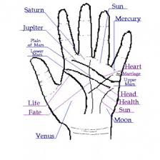 How fine or deep are they? Marriage Lines In Palmistry Vedic Astrology Ayurveda